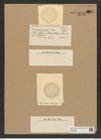 Coscinodiscus irregularis Rattr. (de-Toni-Nr.: Genus 202, Species 4861) Zeichnungen Sammlung Grunow Nr. 8613 (NHMW-BOT-W0377996)